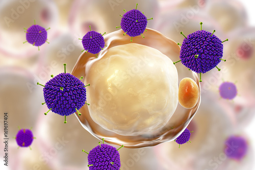 Fotografie Adenoviruses and fat cells, conceptual image, 3D illustration