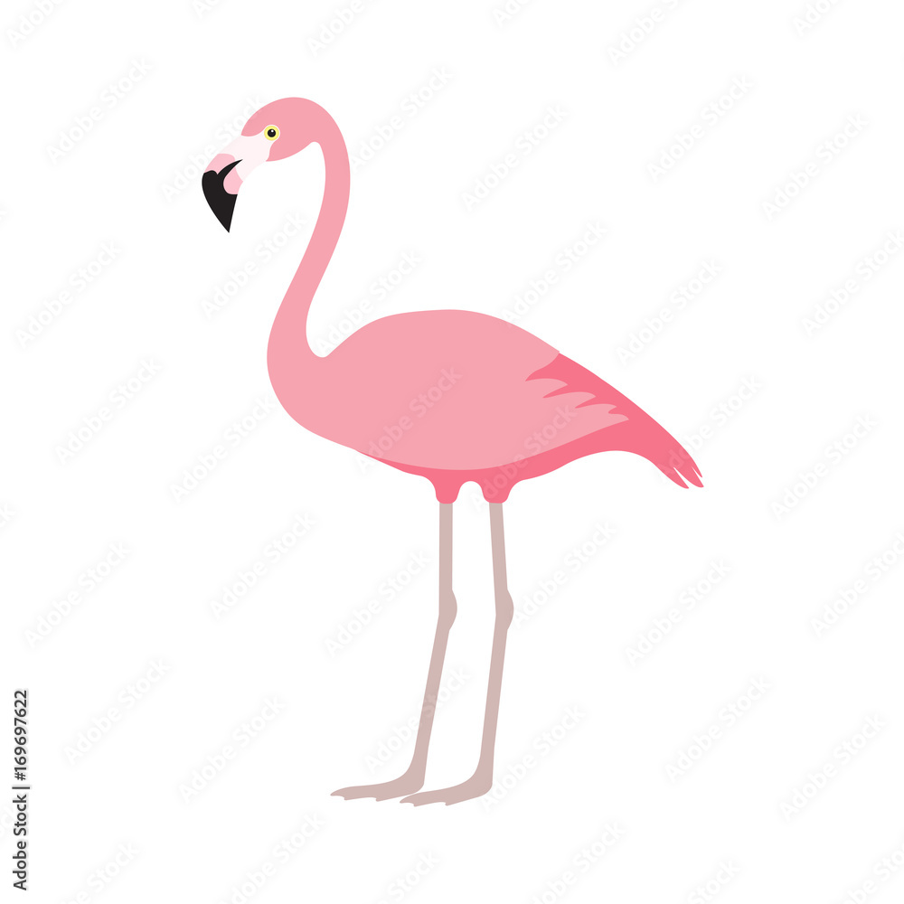 Naklejka premium pink flamingo icon over white background