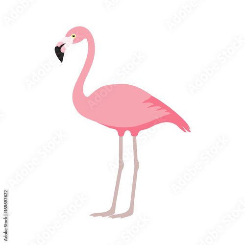 pink flamingo icon over white background © StockVector