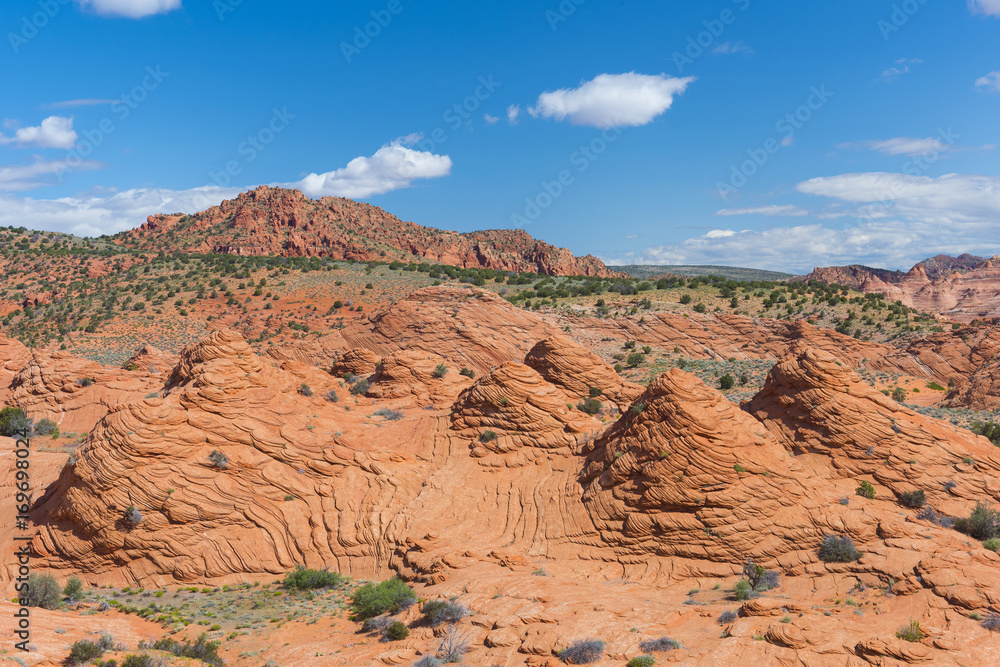 Fototapeta premium Coyote Buttes