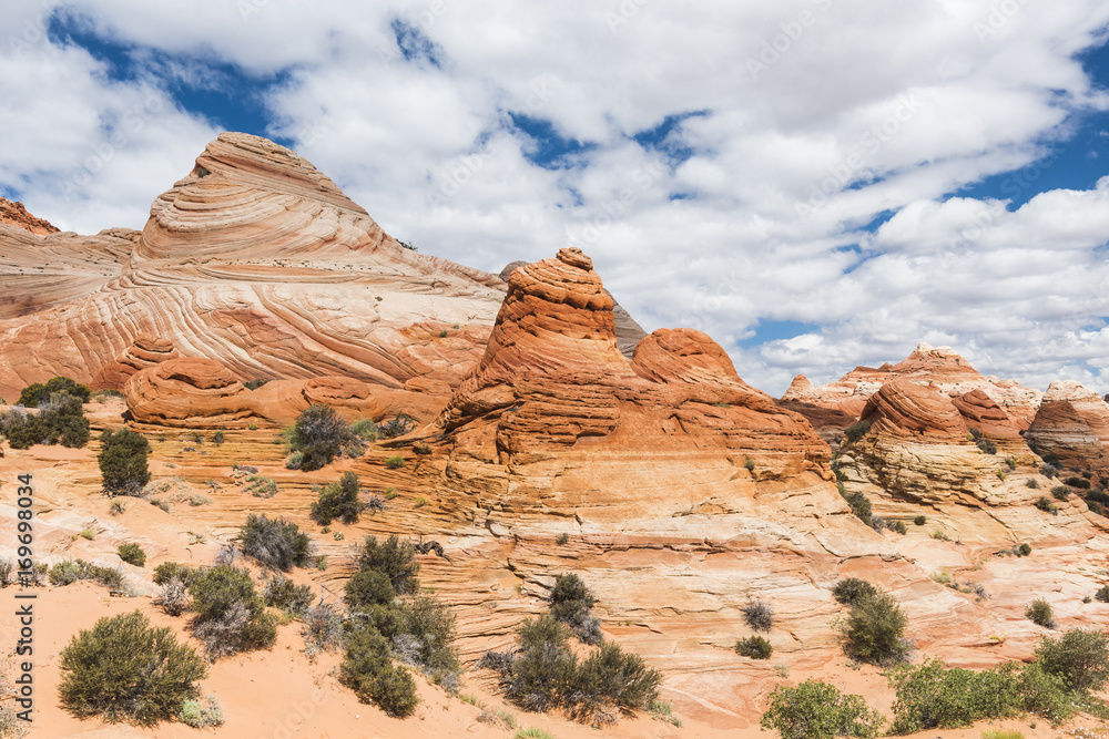Fototapeta premium Coyote Buttes
