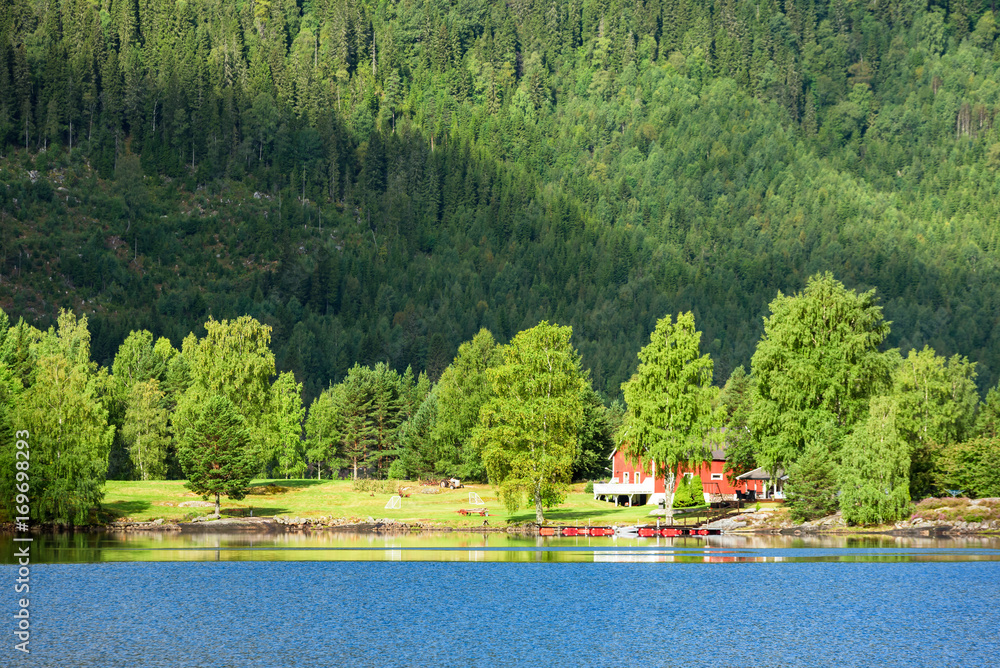 Φωτογραφία Woodland landscape along the river Otra in southern Norway, with red building among the trees in the forest