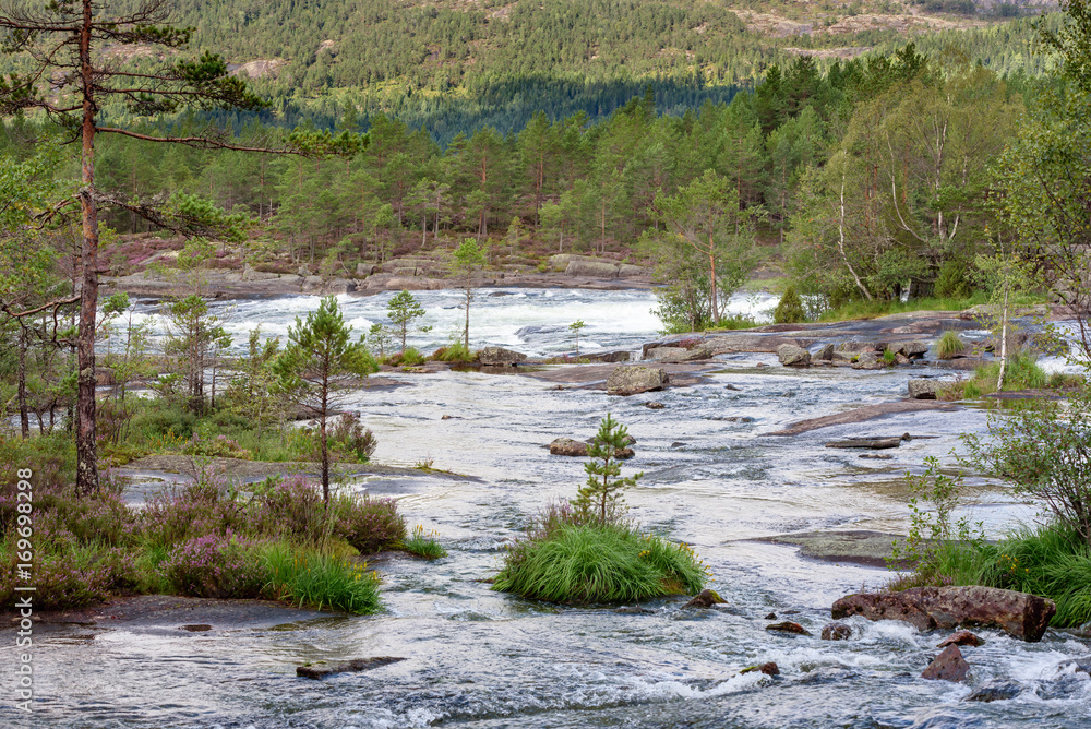 Flowing river in conifer forest. Location Syrtveitfossane in Setesdal, Norway.