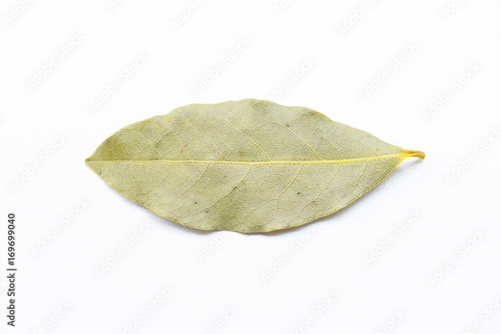 Aromatic dried bay leaves on white background
