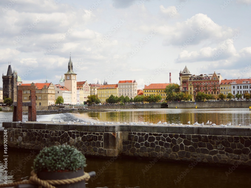 Fototapeta premium Naprzeciwko