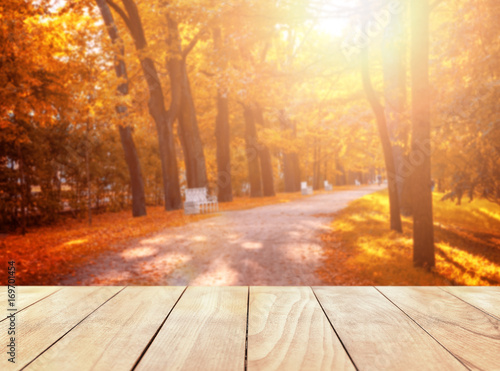 Old wooden table top with leaves falling in forest