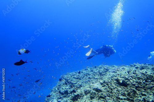 宮古島の海中を泳ぐダイバー © 7maru