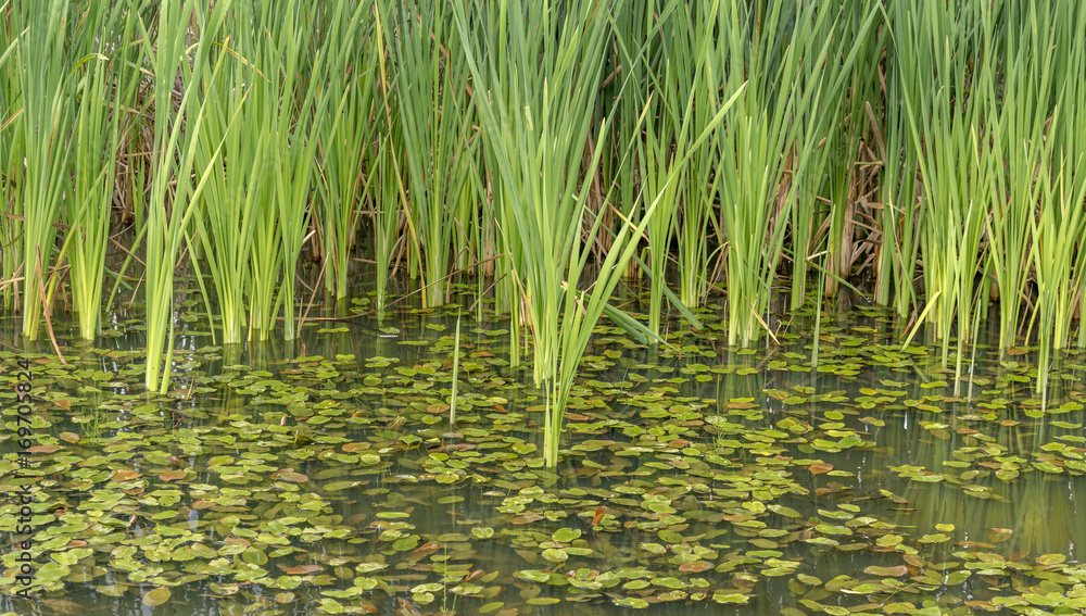 Développement durable