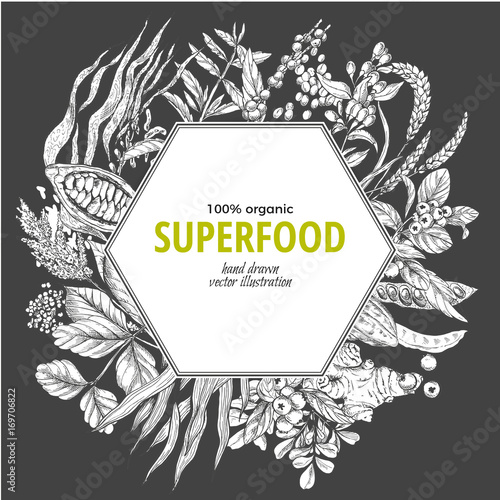 Superfood hexagon banner, sketch vector illustration