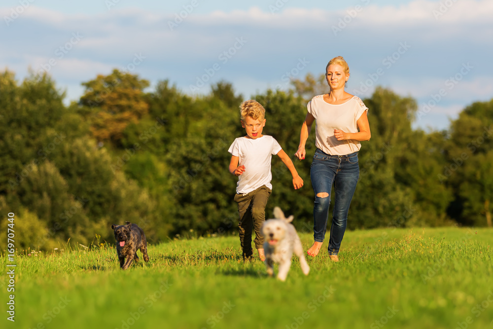 Obraz premium mother runs with her boy and two small dog on a meadow