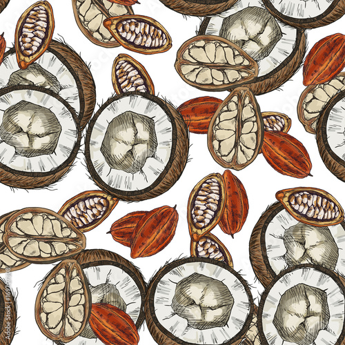 Cacao beans and coconuts. Seamless botanical pattern