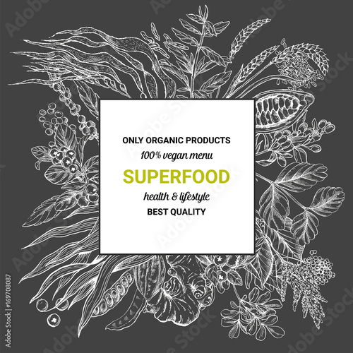 Superfood square banner,sketch vector illustration 