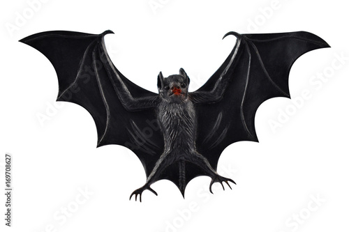 Bat stock images. Bat toy on a white background