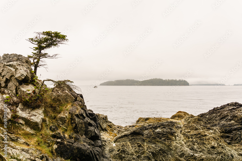 Beach on Pacific Ocean Coast morning and fog Vancouver Island Canada. Beach on Pacific Ocean Coast morning and fog Vancouver Island Canada.