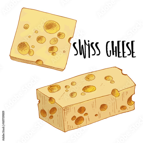 Full color cheese illustration, vector hand drawn