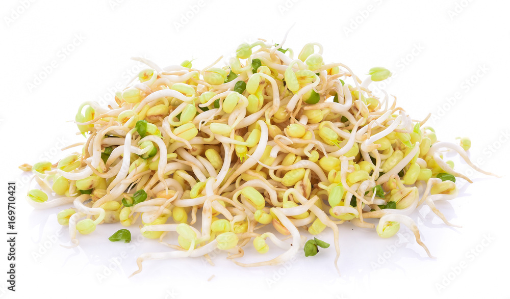 bean sprouts, soybean sprouts on white background bean sprouts, soybean sprouts on white background