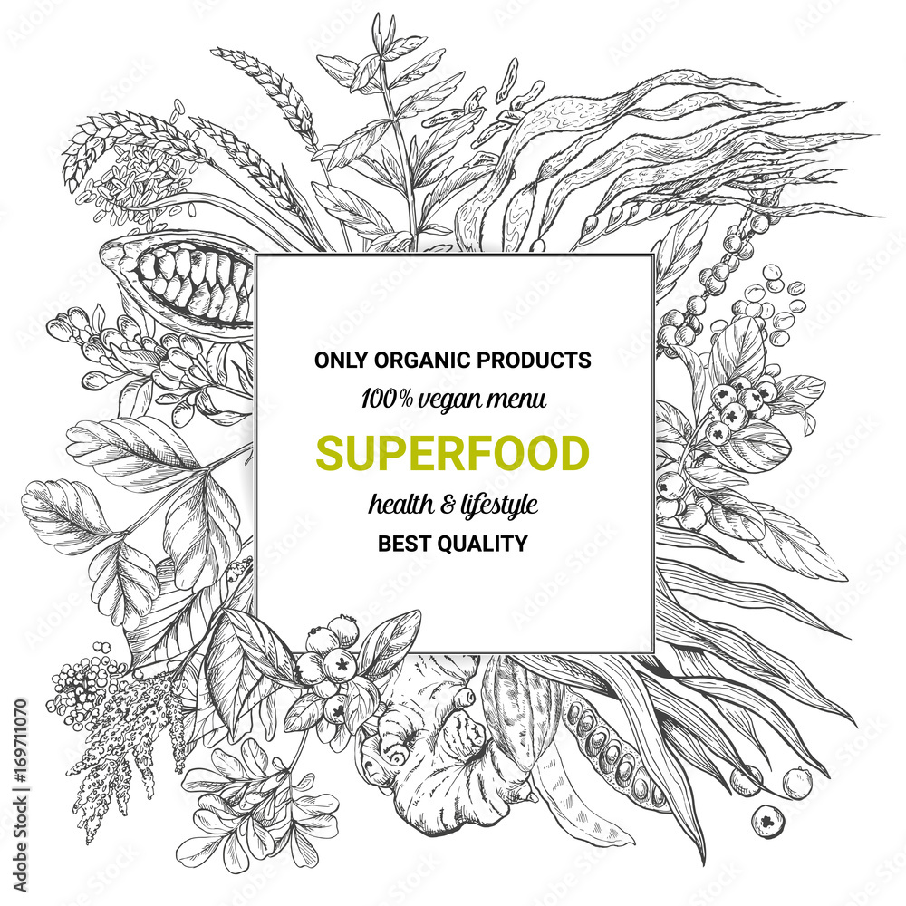 Plakat Superfood square banner,sketch vector illustration