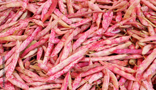 Cranberry Borlotto beans
