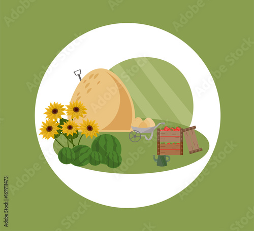 Farm hay vector flat style illustrations summer season