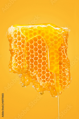 Canvas Print Sweet honeycomb on yellow