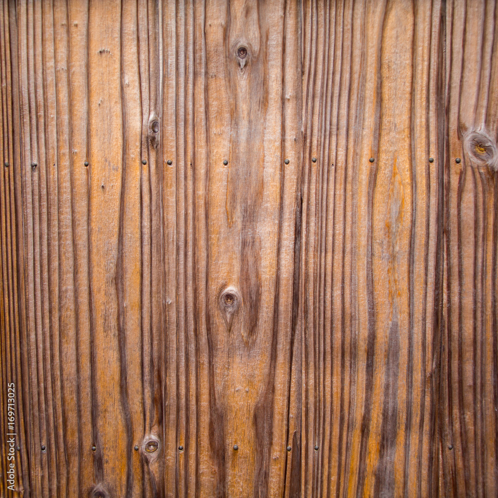 wood texture wood texture