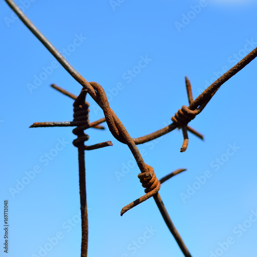 Obraz na plátně Barbed wire on the cloudless sky background. Close-up