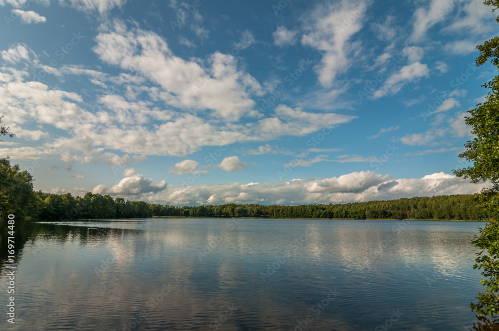 beautiful summer landscape. View from the coast to a picturesque forest lake under a blue cloudy sky