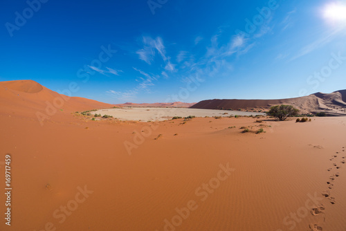 The scenic Sossusvlei and Deadvlei, clay and salt pan surrounded by majestic sand dunes. Namib Naukluft National Park, main visitor attraction and travel destination in Namibia. © fabio lamanna