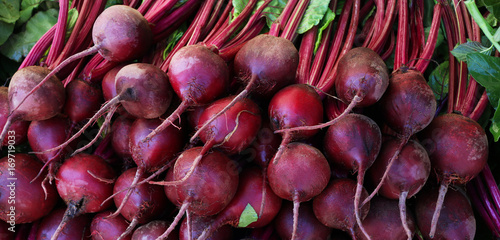Closeup of radishes on a farmers market stand
