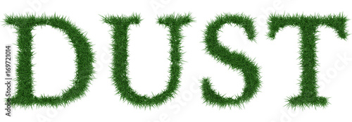 Dust - 3D rendering fresh Grass letters isolated on whhite background.