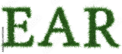 Ear - 3D rendering fresh Grass letters isolated on whhite background.