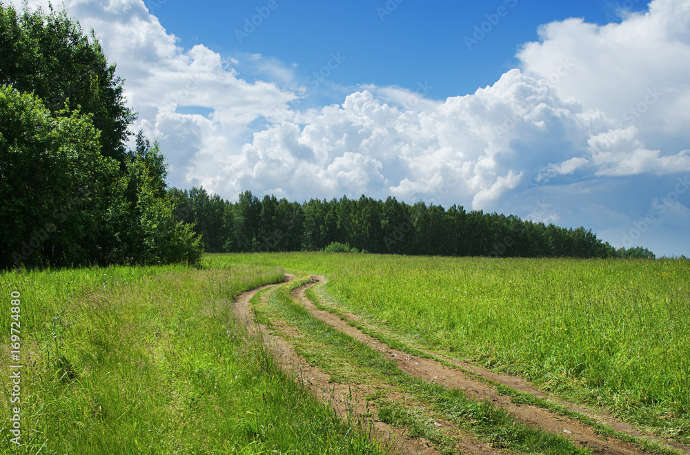 Road in field Road in field