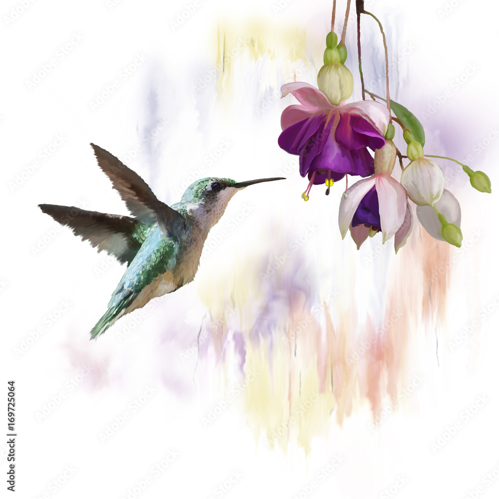 Hummingbird and flowers watercolor