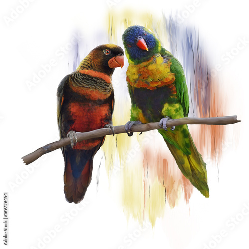 Fototapeta Lorikeet Parrots watercolor