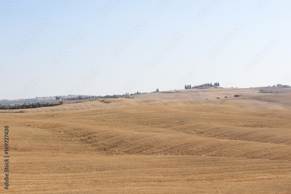 Fototapeta premium Campi nelle crete senesi