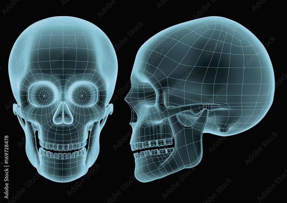 Wireframe halloween skull over a black background like an hologram or radiography
