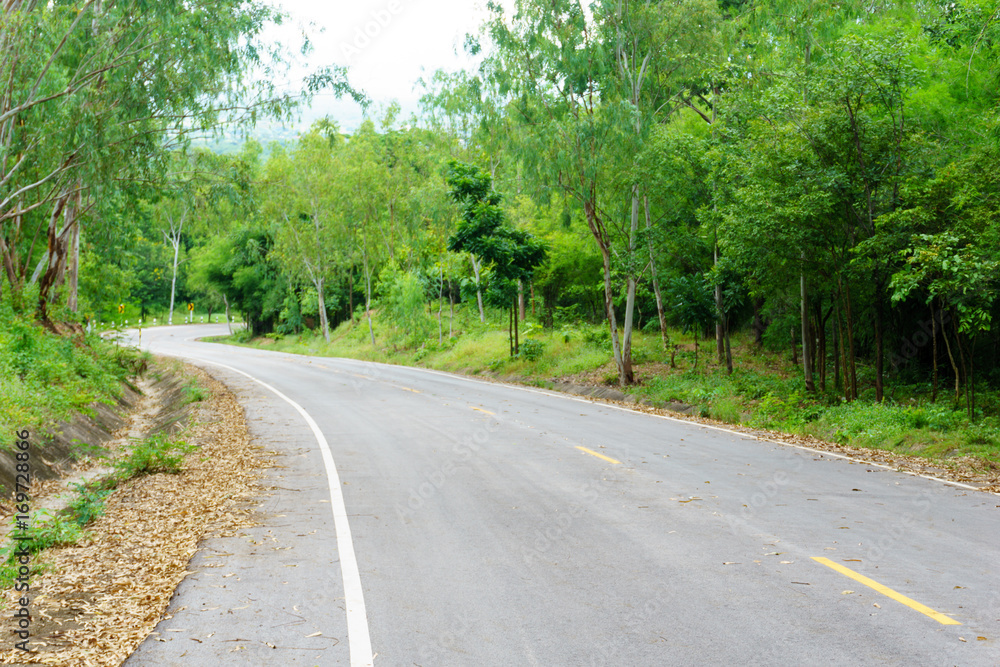 Landscape of empty asphalt curved road through the green forest with line for direction on the way. country road in thailand. road trip, route to success, travel or endeavor abstract concept.