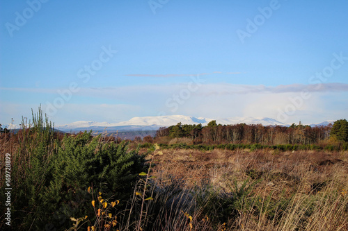 View of an overgrown Culloden Moor Battlefield with snow capped mountains in the background on an autumn or early winter's day.