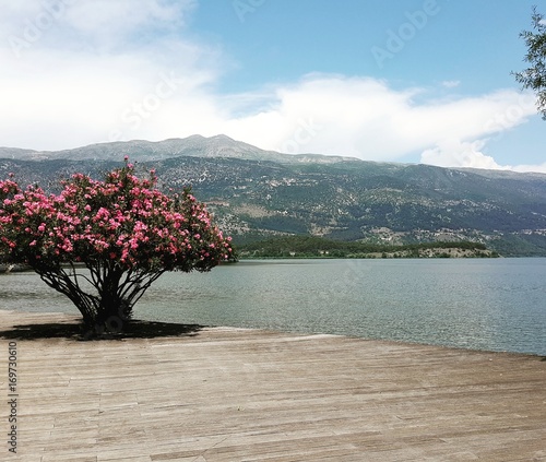 Ioannina lake and mountain landscape Greece photo