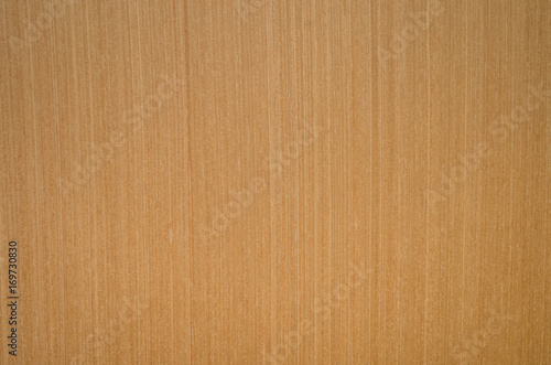 Textura de madeira clara para fundos photo