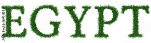 Egypt - 3D rendering fresh Grass letters isolated on whhite background.