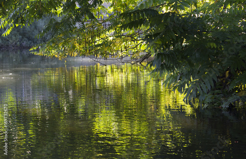 Wasser