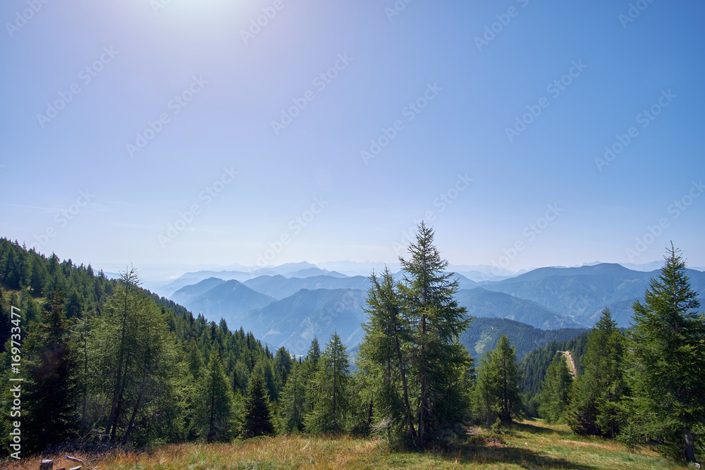 Look over the mountain ridges from the top of the Panoramastrasse on Mt. Goldeck with a pine tree in forground