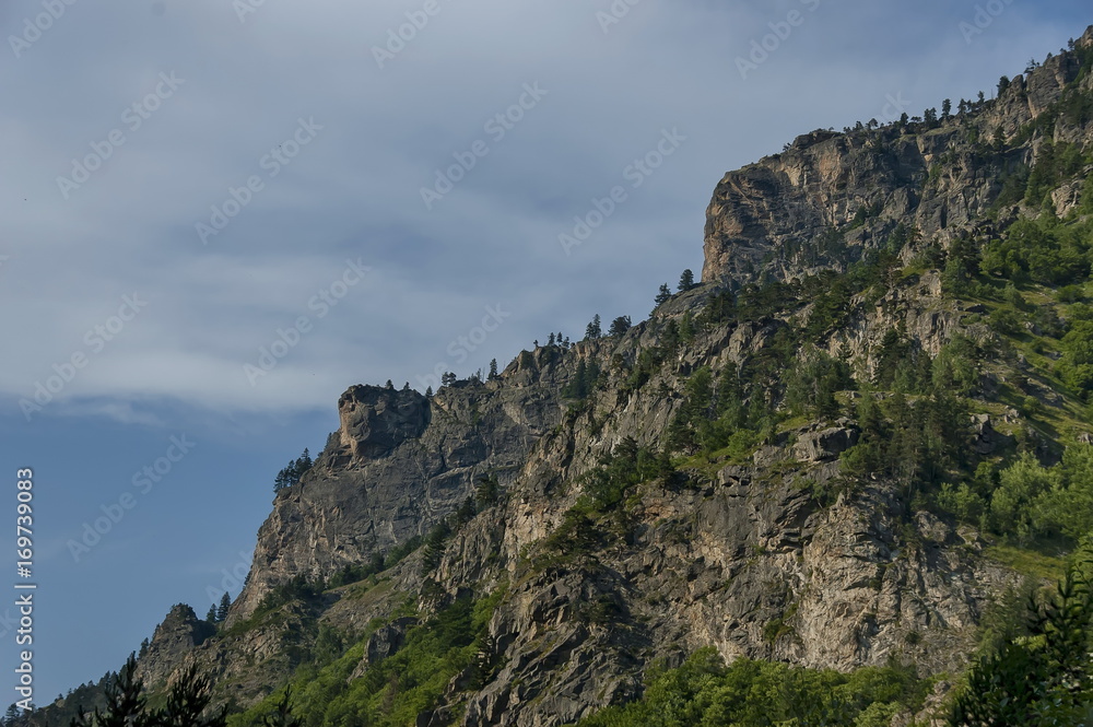 Mountain top of eagle's rock overgrown with coniferous forest and glade of Rila mountain, Bulgaria 