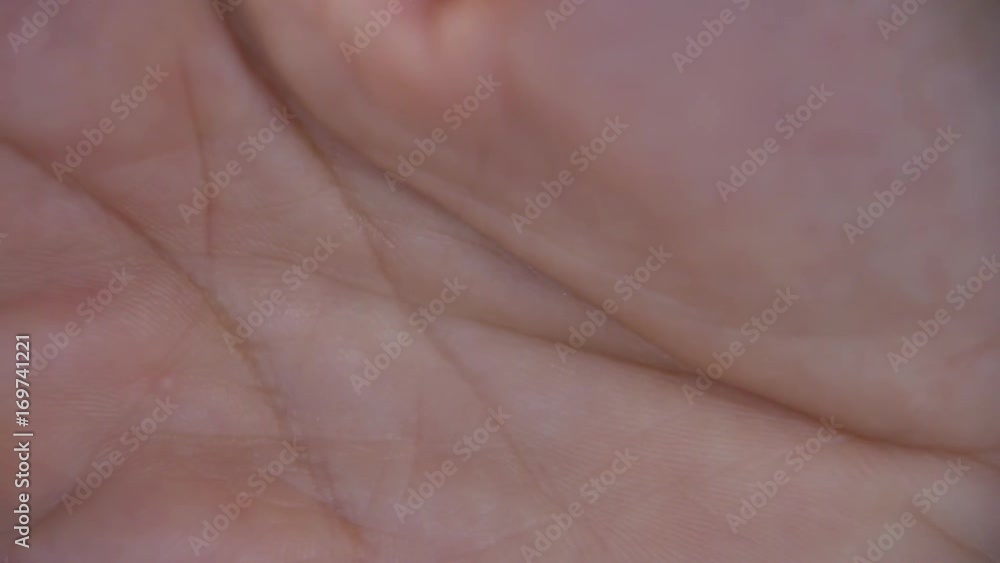 Extreme closeup of hand, skin detail Extreme closeup of hand, skin detail