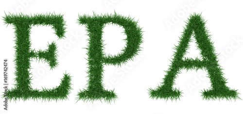 Epa - 3D rendering fresh Grass letters isolated on whhite background.