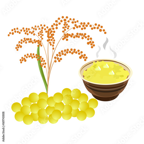 baby food. children's porridge. millet cereal. a bowl of cereal