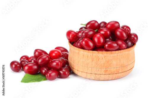 dogwood berries in wooden bowl isolated on white background