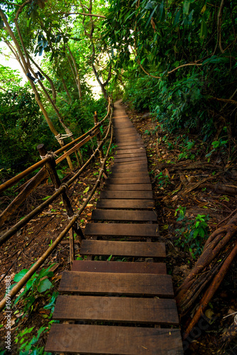 A path of wooden planks from the mountain