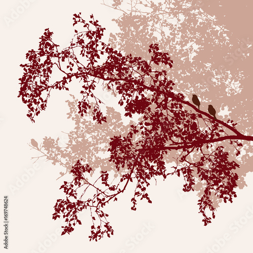 Trees branches in the autumn forest